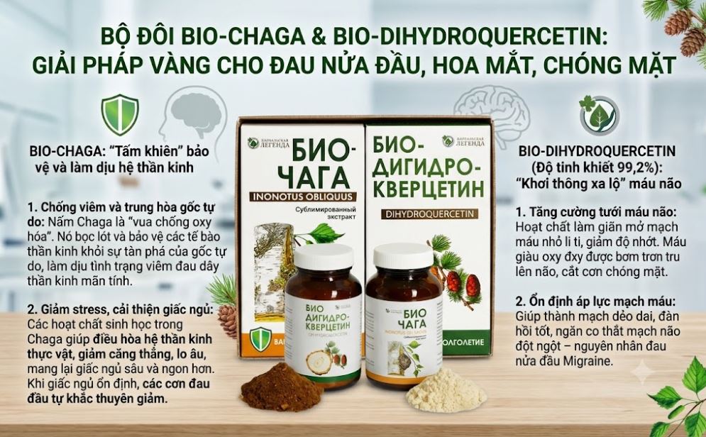 giai phap cho tien dinh, hoa mat chong mat