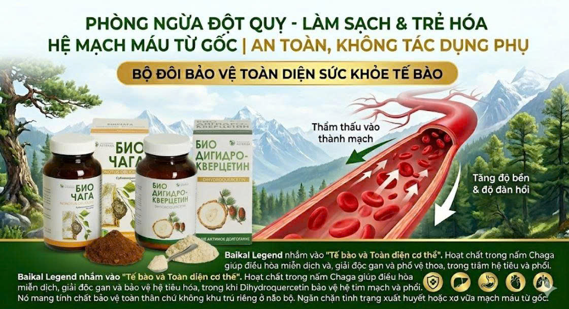 biochaga biodihydroquercetin
