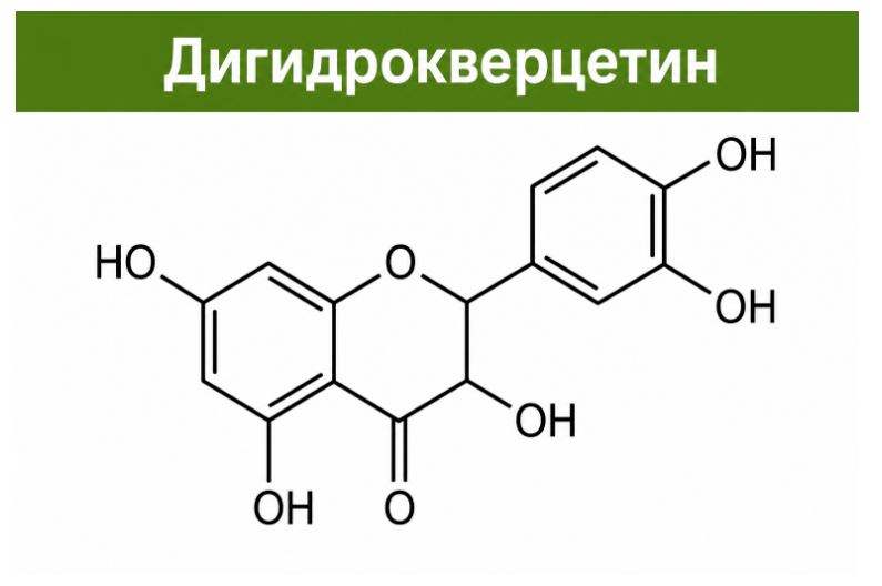 dihydroquercetin duong tung cua NGA bot thong do, phong dot quy, huyet khoi