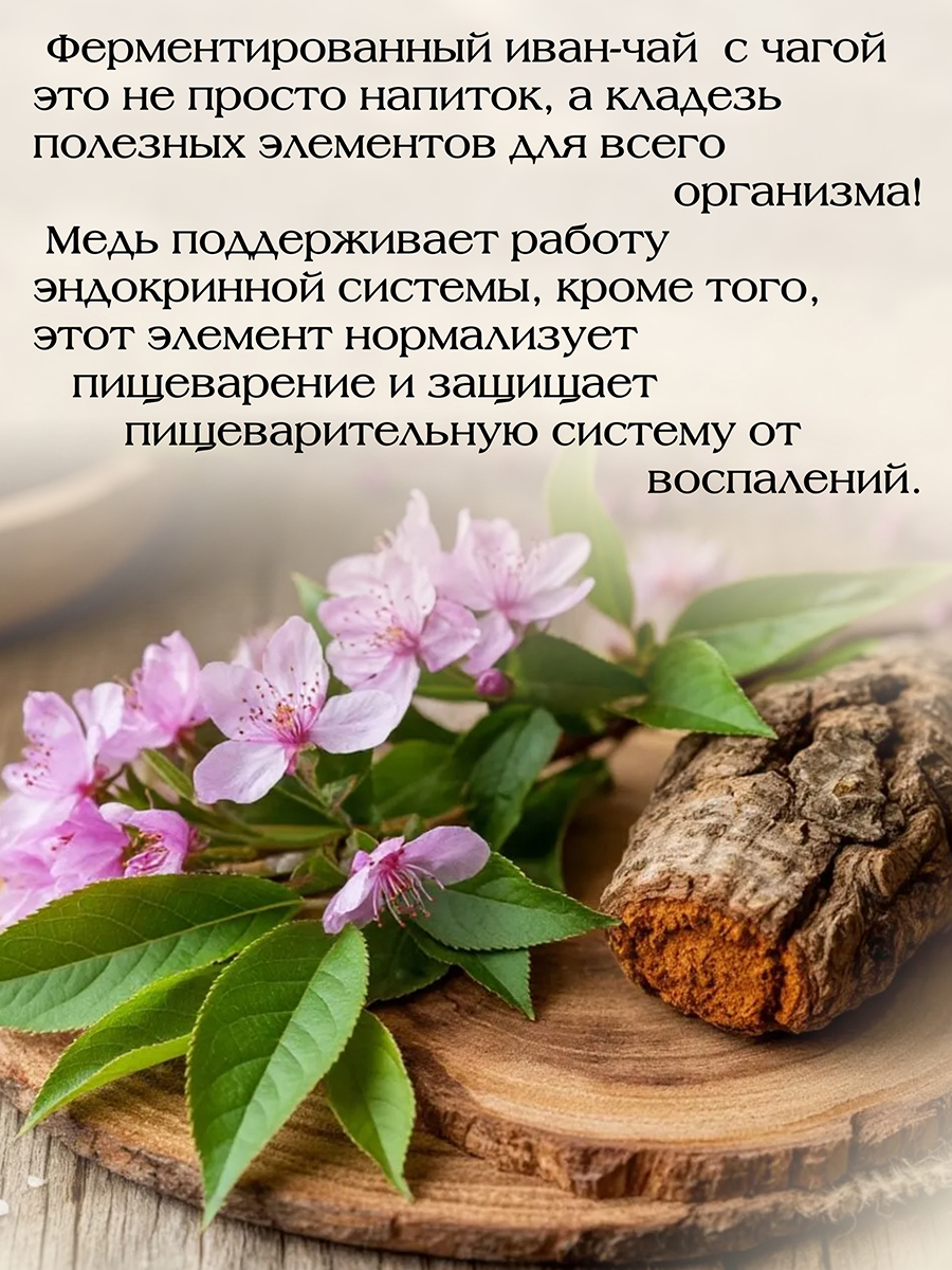 tra ivan ket hop chaga cua nga thai doc, tot cho tieu hoa, giam cang thang, mat ngu4