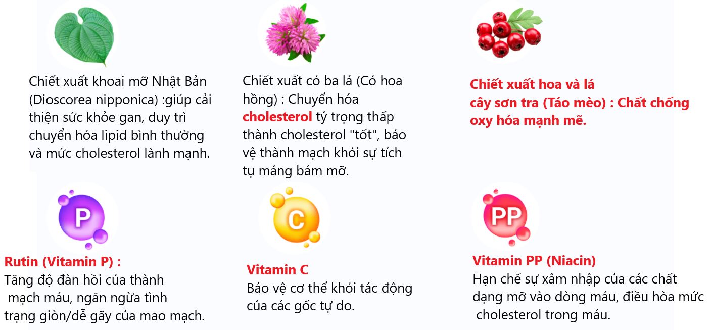 Ateroklefit bio evalar dieu hoa huyet ap giam cholesteron xau chong xo vua dong mach