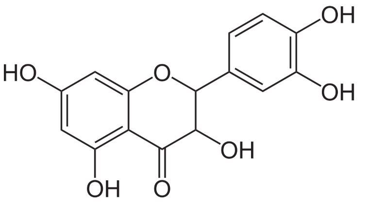 Dihydroquercetin va nam chaga cua NGA cham qua trinh lao hoa, chong oxy hoa manh