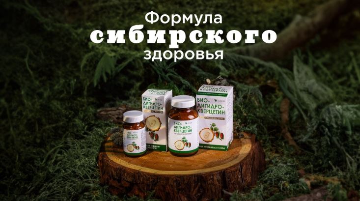 Dihydroquercetin va nam chaga cua NGA tang cuong mien dich